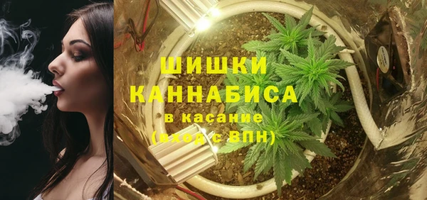 apvp Арсеньев